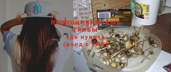 круглые Вяземский