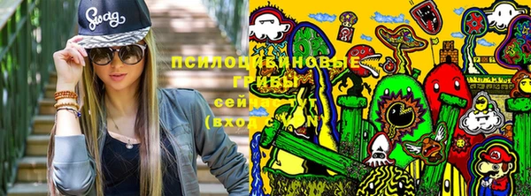 круглые Вяземский