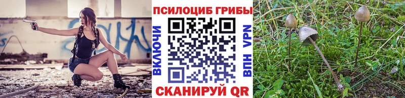 shop состав  Воткинск  Галлюциногенные грибы Psilocybine cubensis 