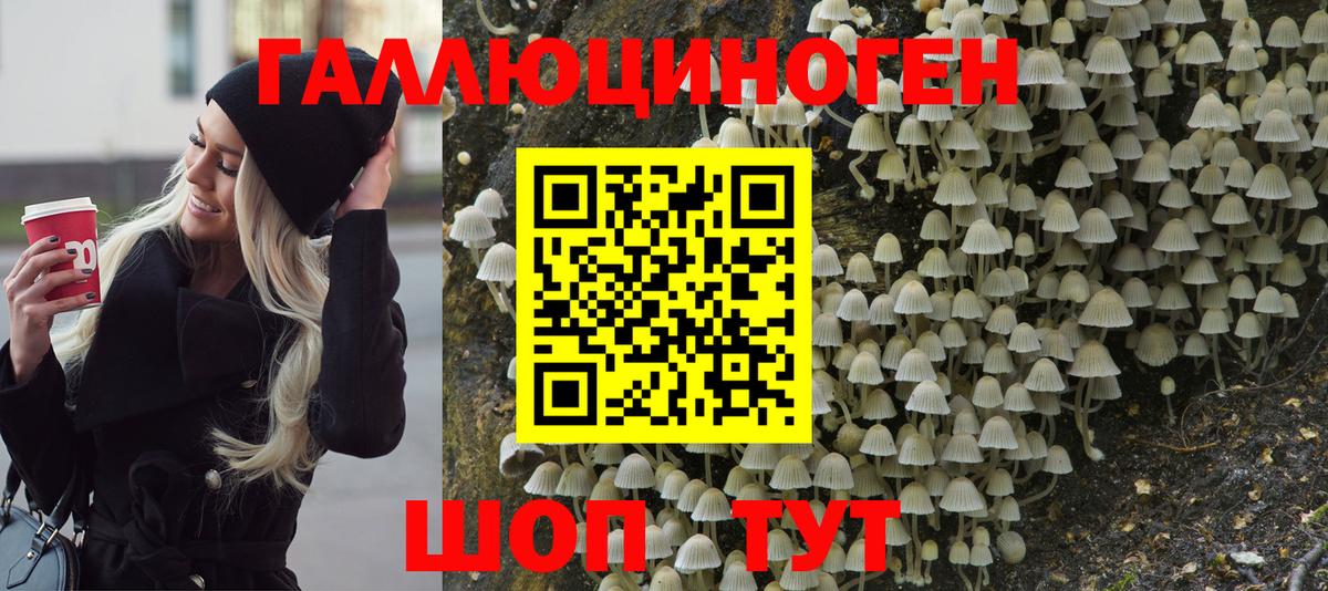 Галлюциногенные грибы MAGIC MUSHROOMS Воткинск